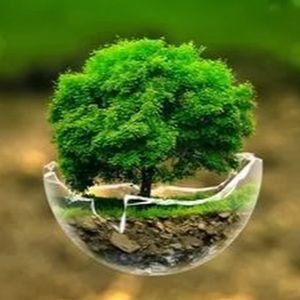 Meet your Posher, Xavier